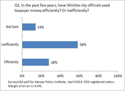 Wichita voter opinion on city spending and taxation