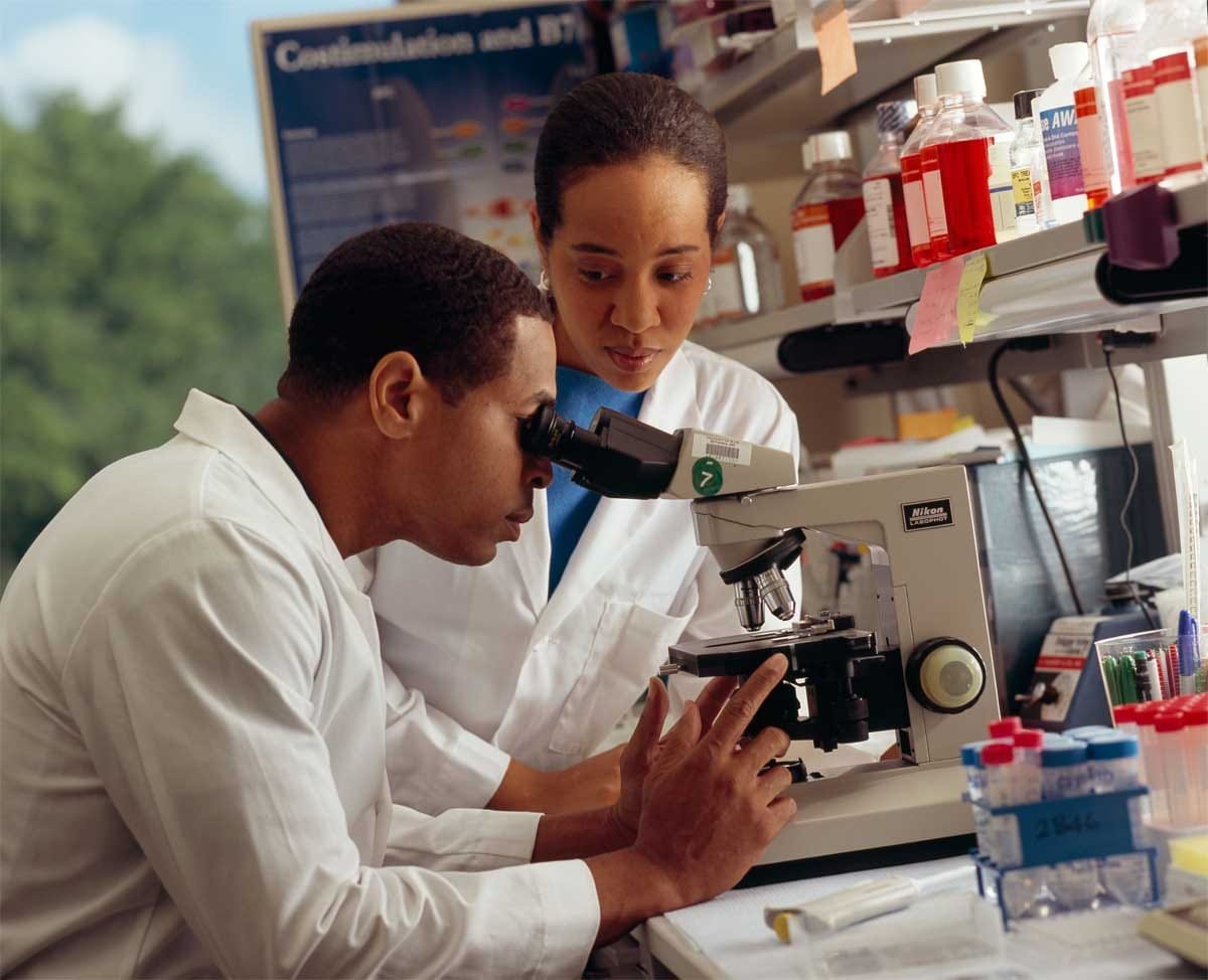 Fake news, meet fake research