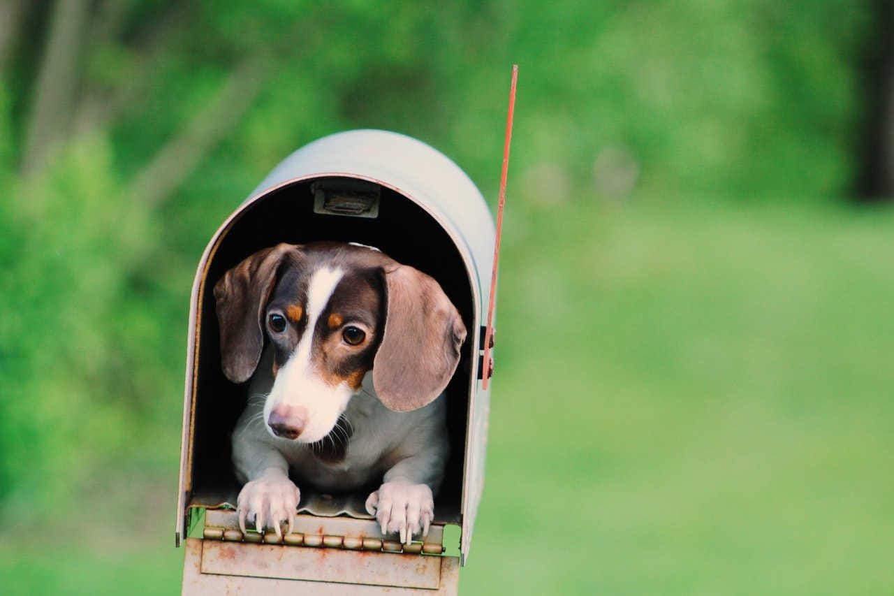 Newsletter for August 22, 2021