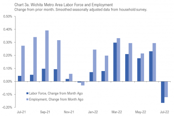 Wichita employment situation, July 2022