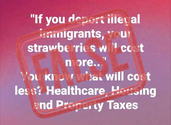 Critical Evaluation: Economic Claims About Mass Deportation and Their Impact on Food Prices, Healthcare, Housing, and Property Taxes